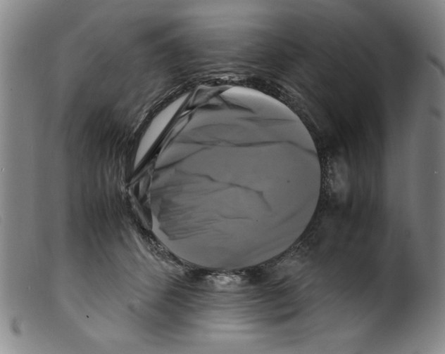 X0000098190512200805221520