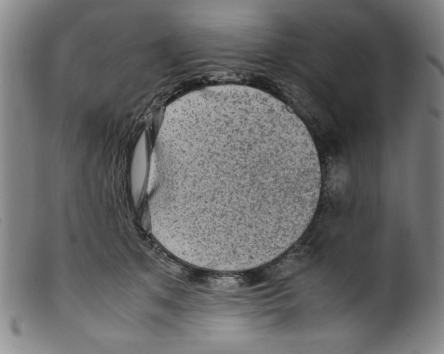 X0000098190513200805221520