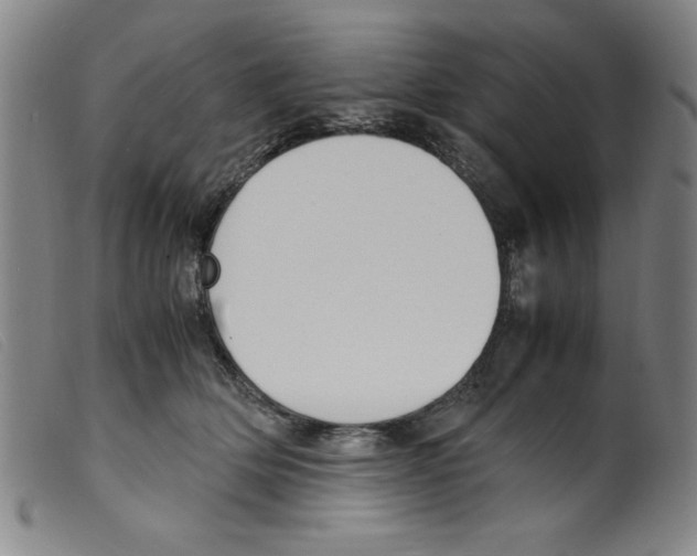 X0000098190514200805221520