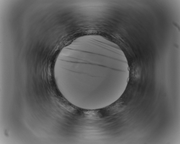 X0000098190516200805221520