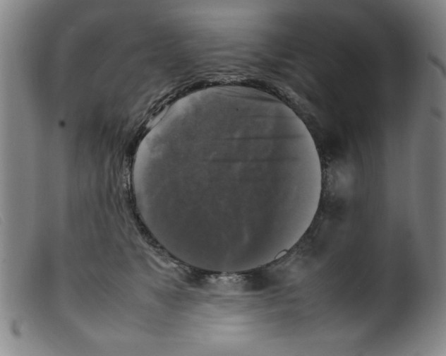 X0000098190517200805221520