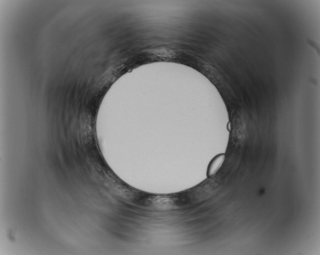 X0000098190518200805221520