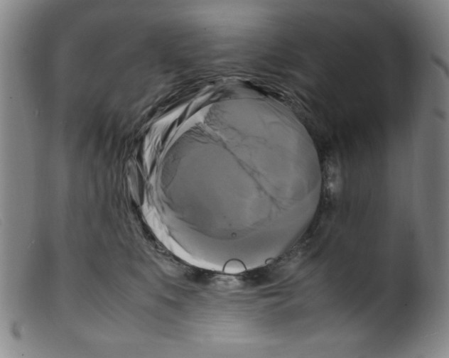 X0000098190519200805221520