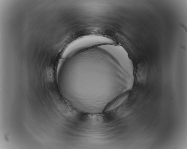 X0000098190520200805221520