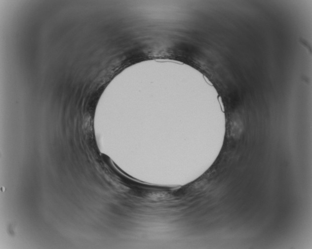 X0000098190521200805221520