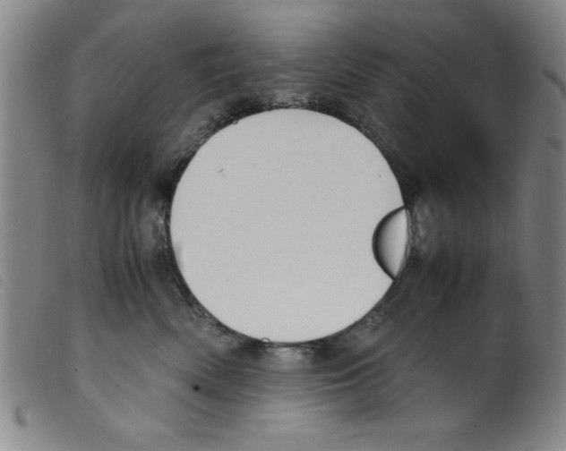 X0000098190522200805221520