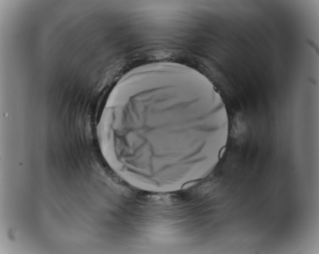 X0000098190524200805221520