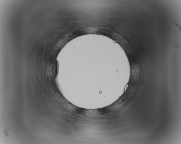 X0000098190525200805221520