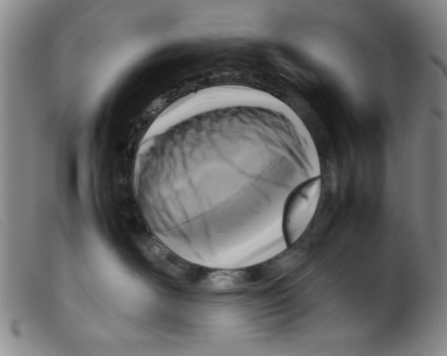 X0000098190526200805221520