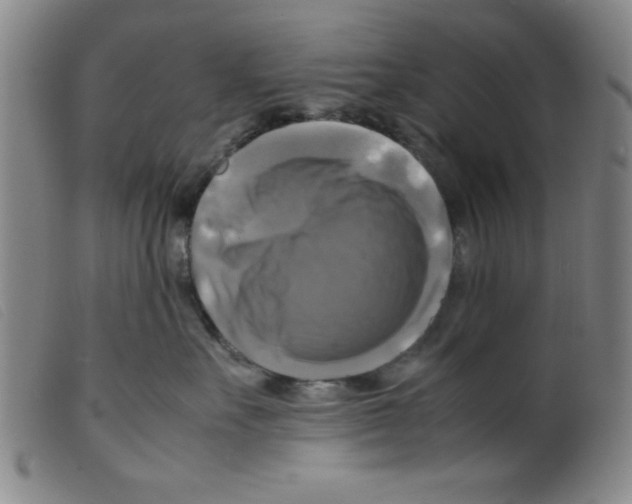 X0000098190527200805221520