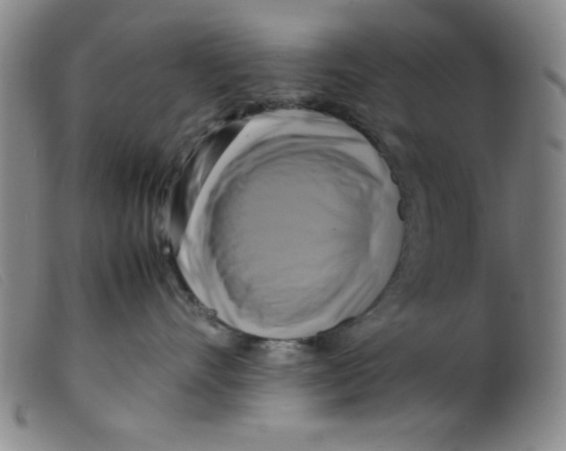 X0000098190528200805221520