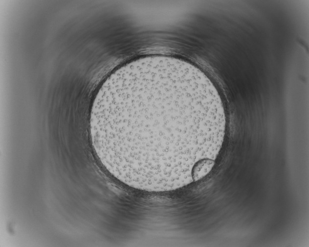 X0000098190529200805221519