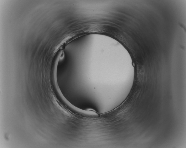 X0000098190530200805221519
