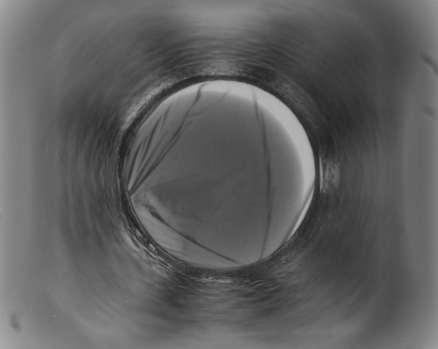 X0000098190531200805221519
