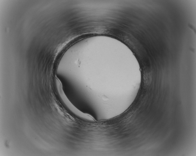 X0000098190532200805221519