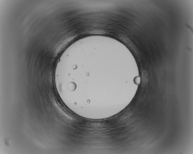 X0000098190533200805221519