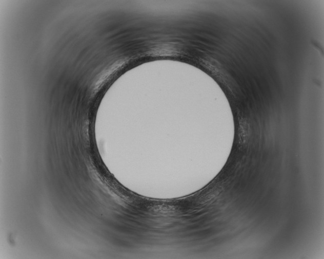 X0000098190535200805221519