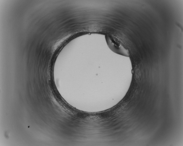 X0000098190536200805221519