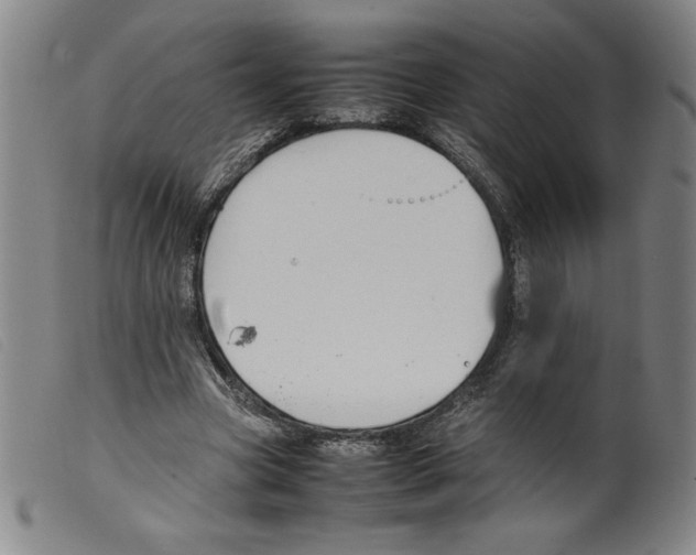 X0000098190537200805221519