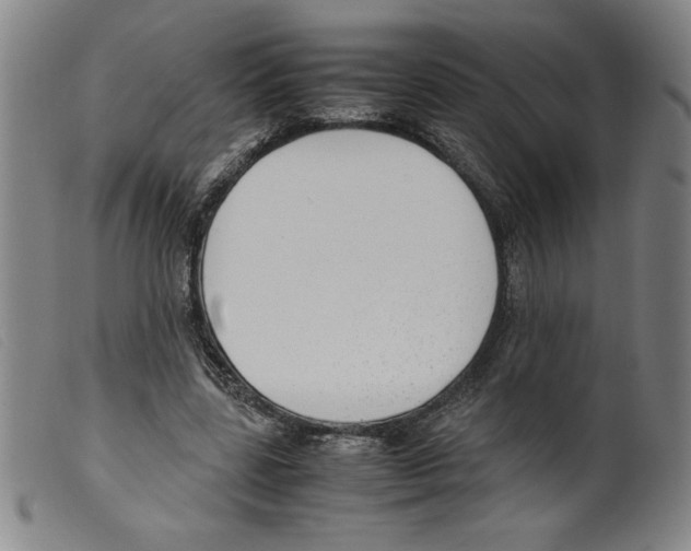 X0000098190539200805221519
