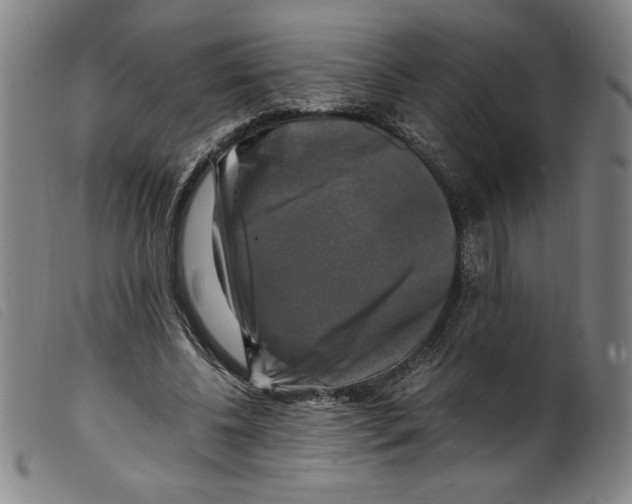 X0000098190540200805221520