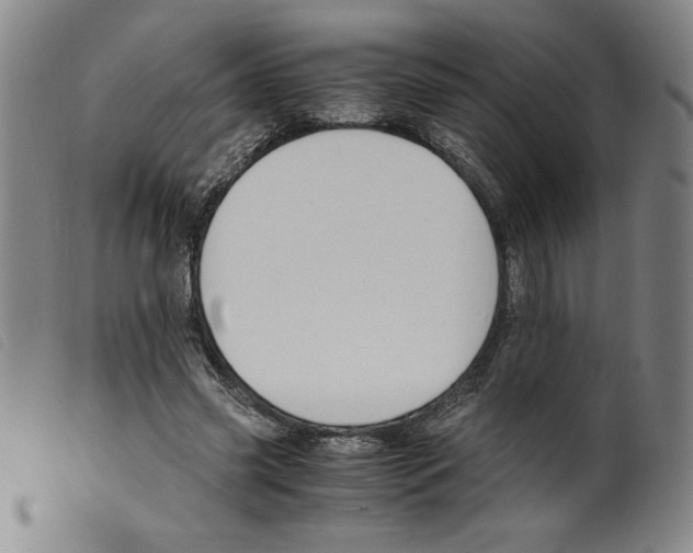 X0000098190541200805221520