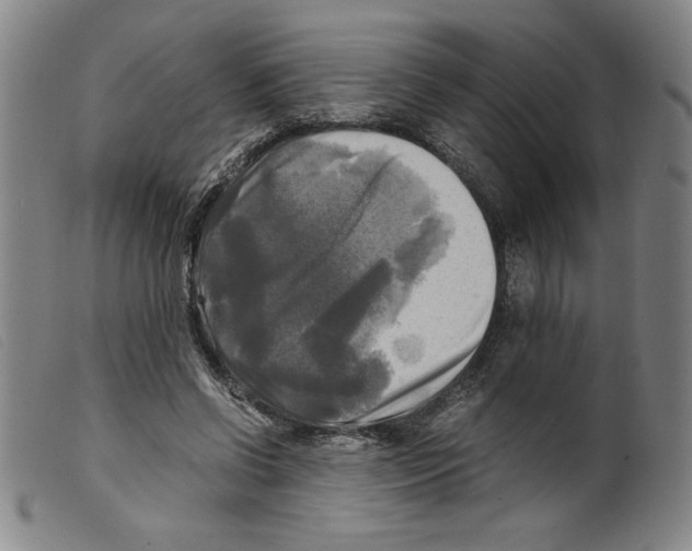 X0000098190542200805221520
