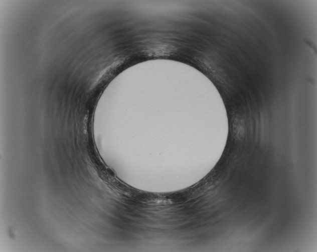 X0000098190543200805221520