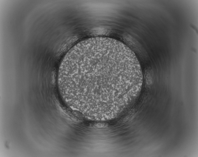 X0000098190546200805221520