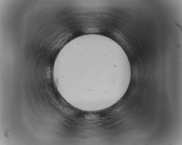 X0000098190549200805221520