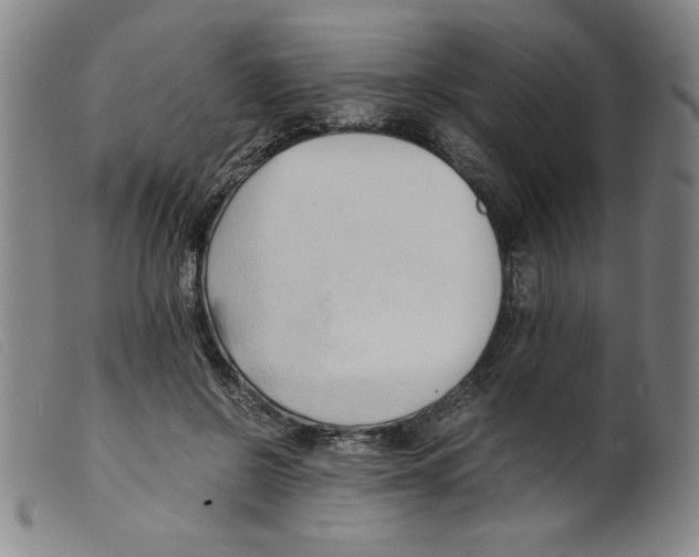 X0000098190550200805221520