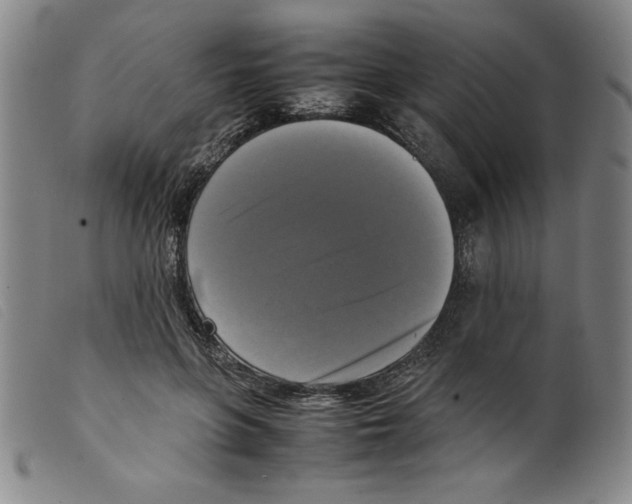 X0000098190551200805221520