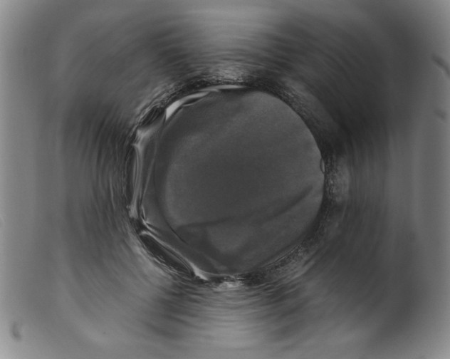 X0000098190552200805221520