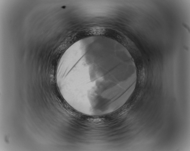 X0000098190553200805221520