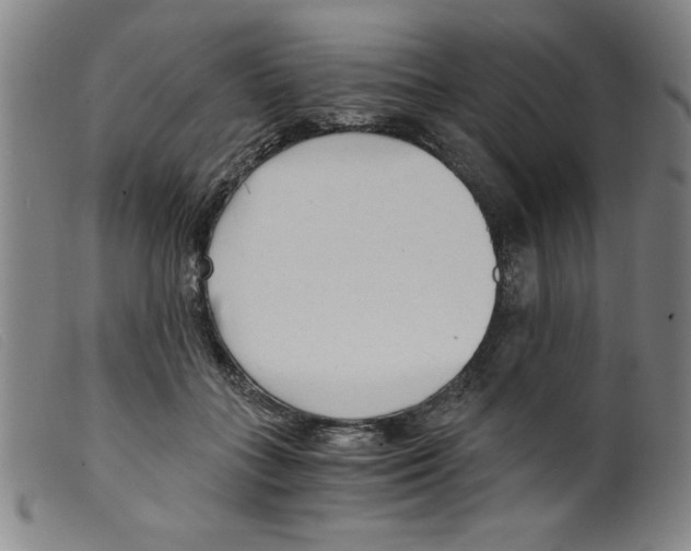 X0000098190555200805221520
