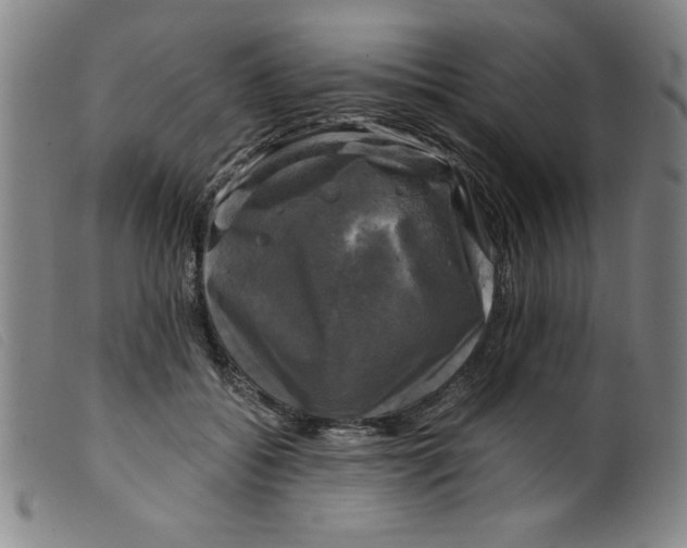 X0000098190556200805221520