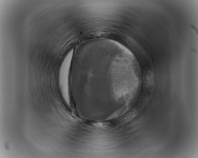 X0000098190558200805221520