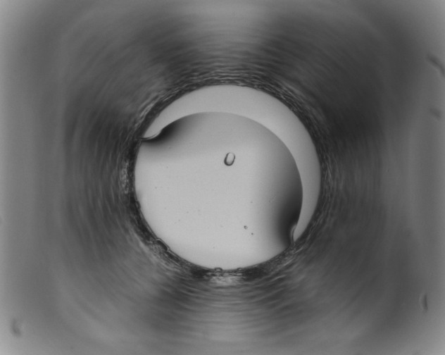 X0000098190560200805221520