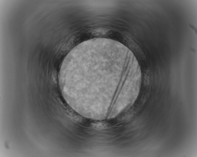 X0000098190561200805221520