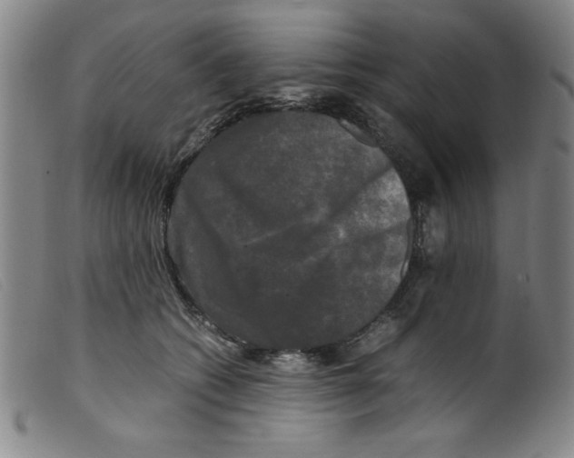 X0000098190562200805221520