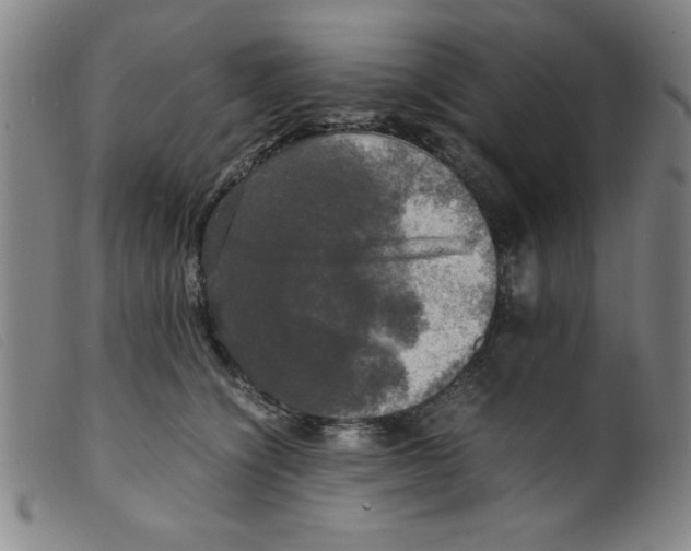 X0000098190564200805221520