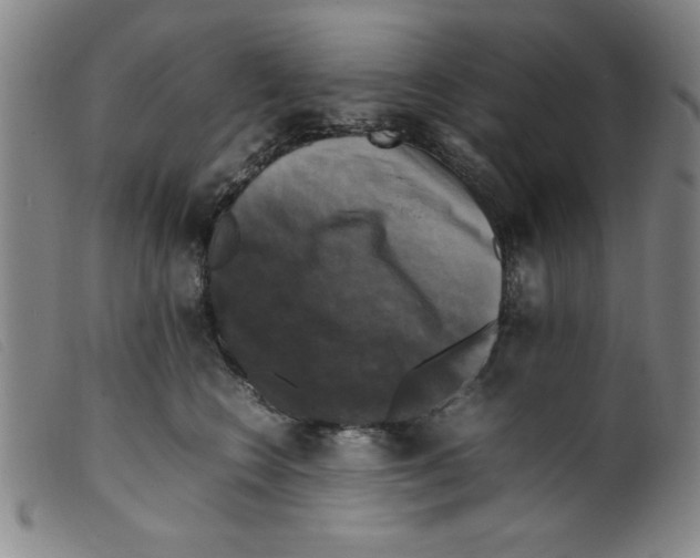 X0000098190566200805221520