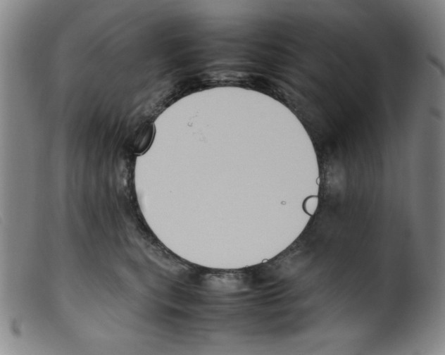 X0000098190567200805221520