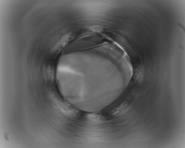 X0000098190568200805221520