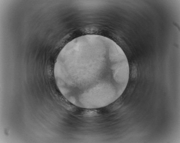 X0000098190569200805221520