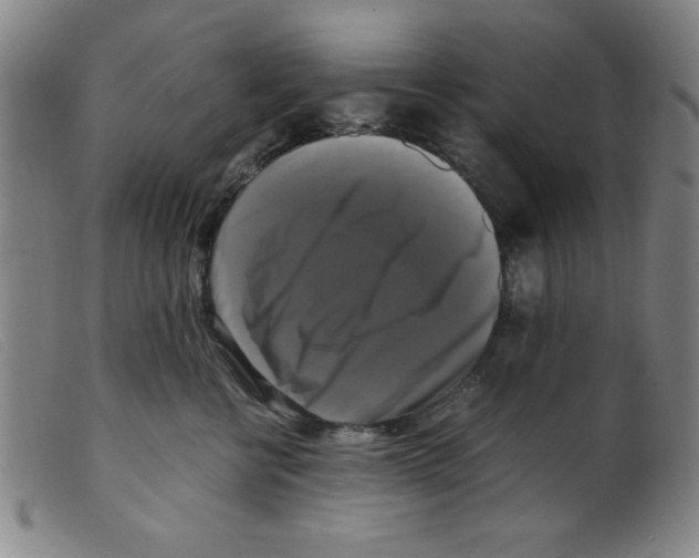 X0000098190570200805221520