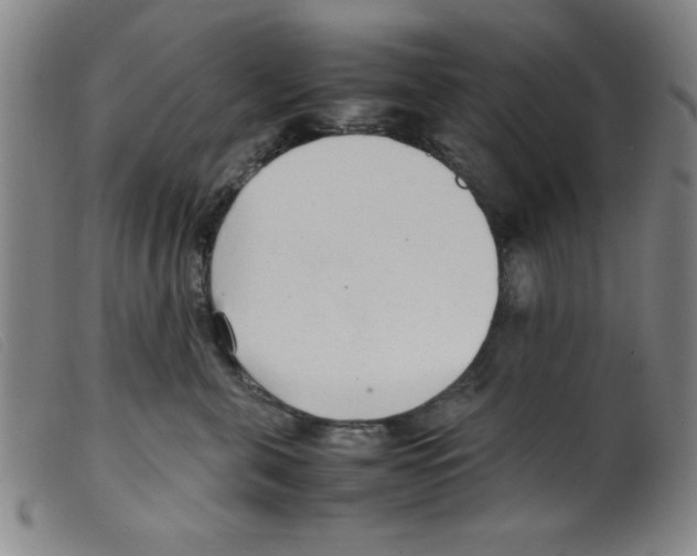 X0000098190571200805221520