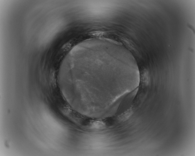 X0000098190572200805221520