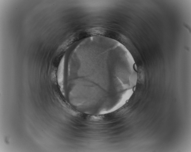 X0000098190573200805221520