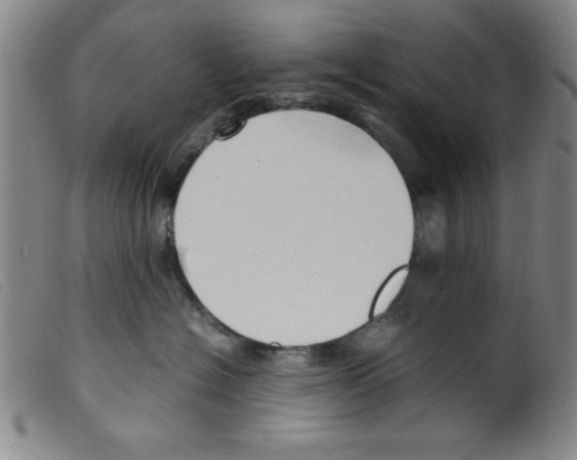 X0000098190574200805221520